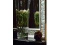 Štukatura ARSTYL Z11 (150 x 70 mm) - Slika 1